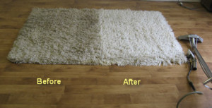 Area Rug Cleaning Specials Ponte Vedra Beach