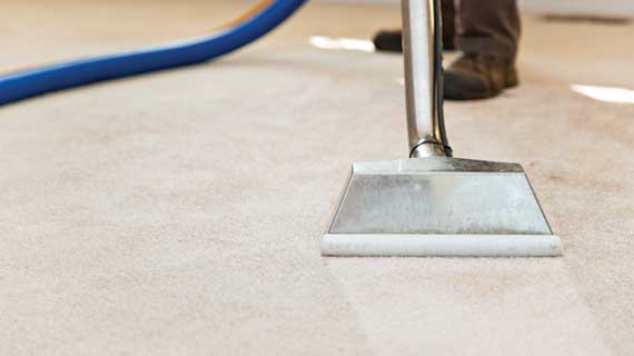 Carpet Cleaning Jacksonville